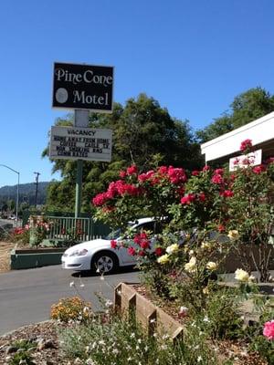 The Pine Cone Motel, Willits, California