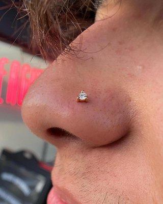 Fresh nostril piercing with Modern Mood's genuine Diamond "Gia." Pierced by Emily!