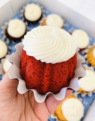 Red Velvet