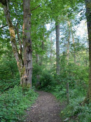 Outer loop trail.