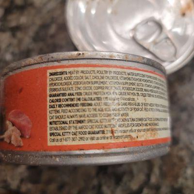 Old, rusty can, rotten food.