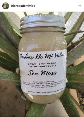 Organic Sea Moss Available