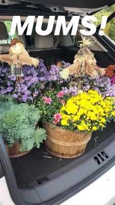 Gerardi's Farmer Market & Nursery