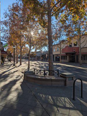 Downtown Mountain View, Castro Street