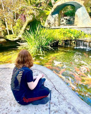 Feeding those Koi!