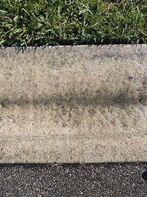 Dirty Gutter in need of Pressure Cleaning (we Don't Use Toxic Chemicals)