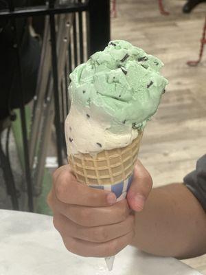 Mint chocolate chip & vanilla cone waffle