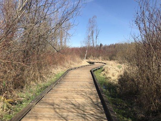 Boardwalk Trail