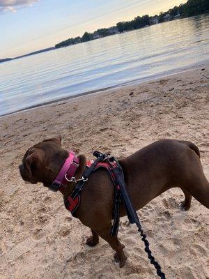 Brooklyn at the lake !