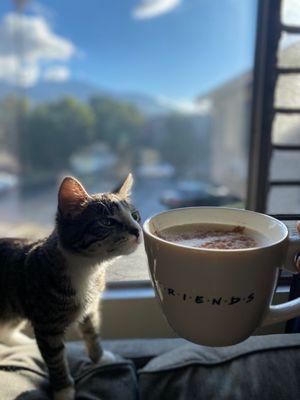 Healthy Rey enjoying her view and brew