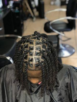 2strand twist on locs