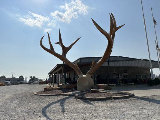 The Big Antlers