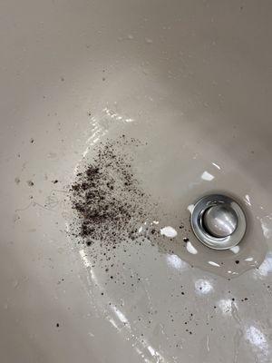 DISGUSTING GUNK OR LEAD IN THE WATER