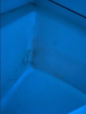 BLACK MOLD IN THEIR FLOATATION UNIT