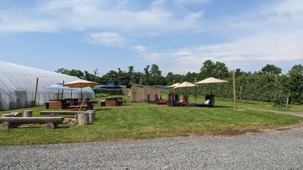 Tasting outdoor area