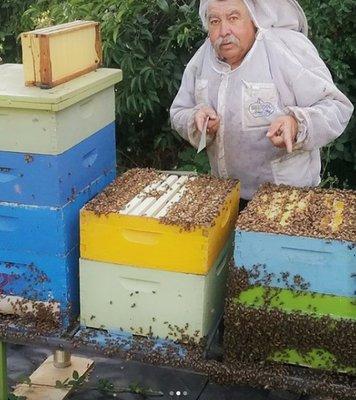 Joe checking in with the honey bees.