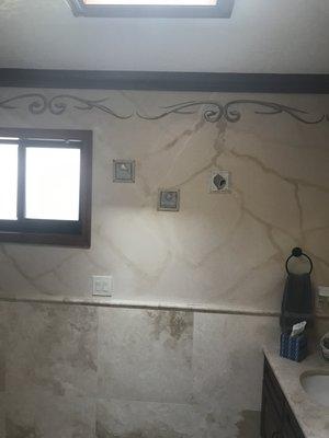 Completed mold remediation with re-painted custom wall design.