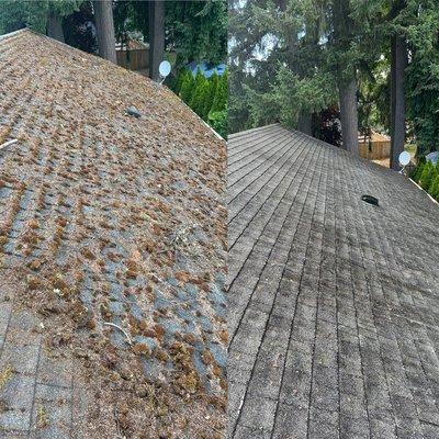 Roof cleaning