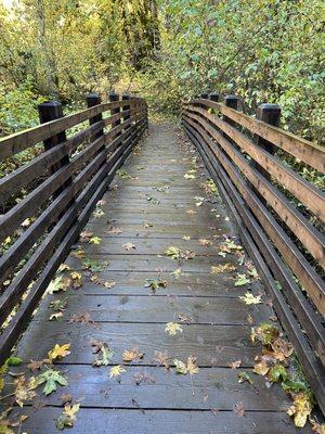 One of many beautiful bridges in McDowell Creek County Park.