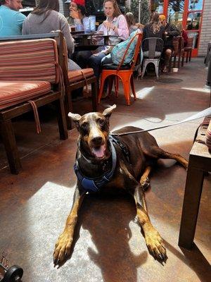 Here's our happy boy joining us at OHSO right after his groom!