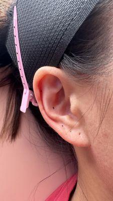 Ear curation