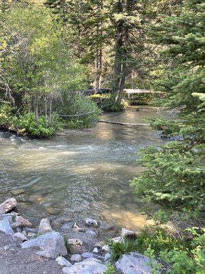 Creek by the dining area