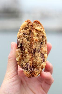 Inside of Chocolate Chip Walnut Cookie ($3)