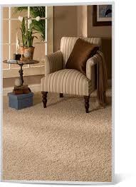 Carpet Cleaning Los Angeles