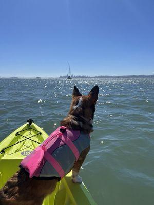 Dog friendly kayaking!