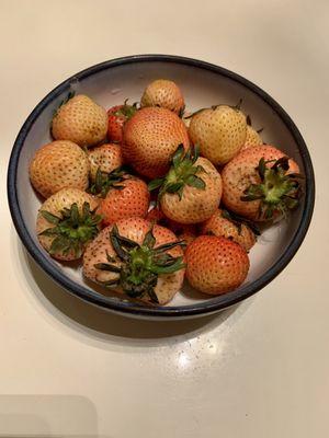 Rosé strawberries