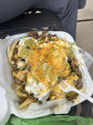 Carne Asada Fries ($12.00, but with tax and surcharge for cc, it was $13.60)