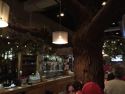 Hey, there's a tree in this bar.