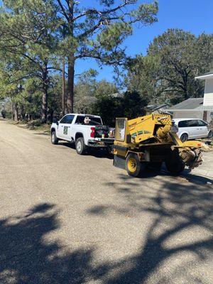 Stump grinding