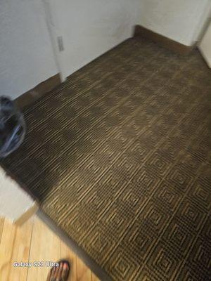 Nasty carpet