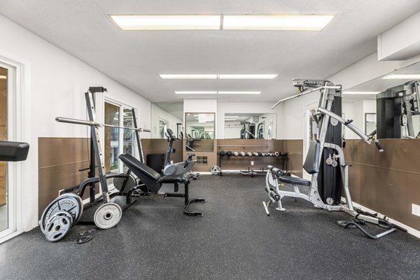 Gym with high-quality equipment