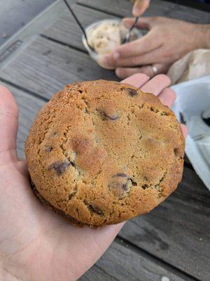 Chocolate Chip Cookie