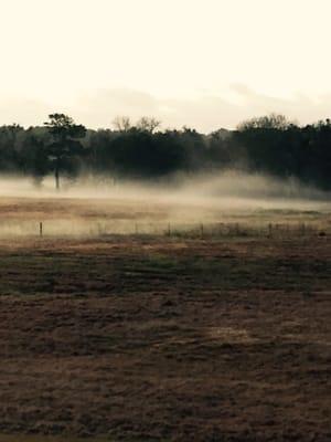 Early morning fog. No light pollution so great skies at night!