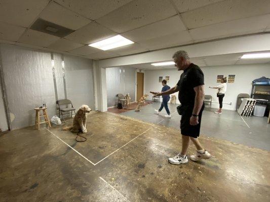 Group class at What An Obedient Dog! doing sit stays.