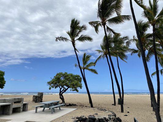 Palm Trees and Picnic Tables on the Beach at Kekaha Kai (Kona Coast) State Park