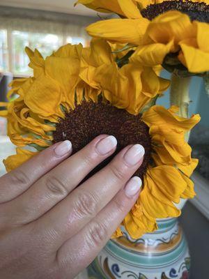 Dip polish French manicure with a backdrop of sunflowers