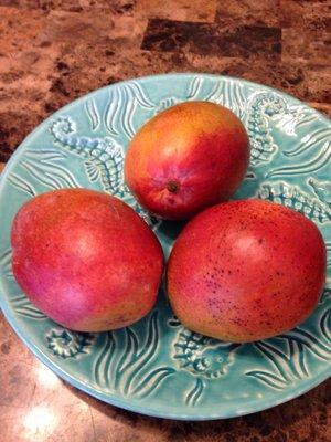 99cents for beautiful Mangos :) that's more than a deal !