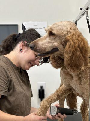 Dogtown Pet Spa