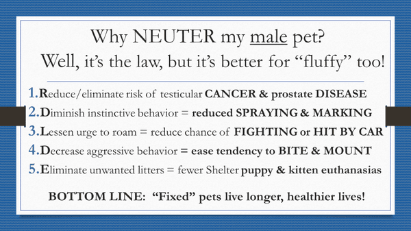 Why Neuter?