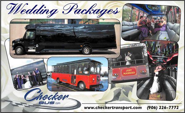 Marquette, Keweenaw, Delta, Alger Wedding Transportation