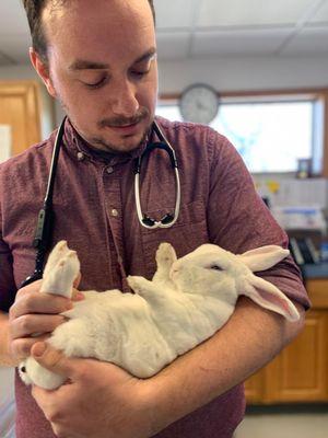 rabbit exam