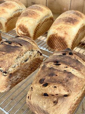 Sourdough cinnamon raisin bread