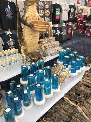 Souvenirs sharks in a jar, sharks teeth, alligator skulls, etc