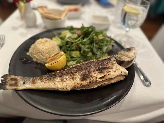 Grilled Whole Bronzino with rice pilaf