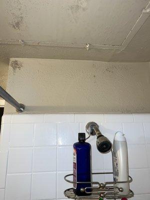 Mold in bathroom