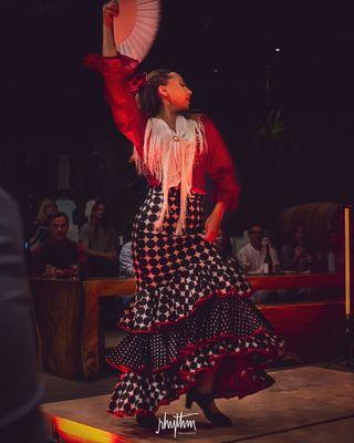 DanzArts - Esencia Flamenca Dance Co.